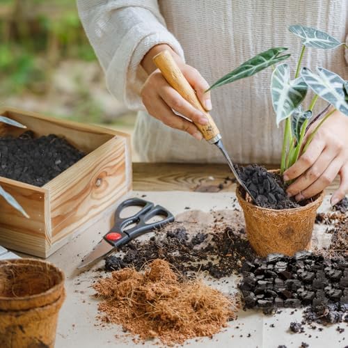 Horticultural Charcoal 4qt for Plants, Actived Charcoal Terrarium Supplies, Suitable for Indoor Plants, Succulent, Orchid, Cactus, Bonsai - Image 6