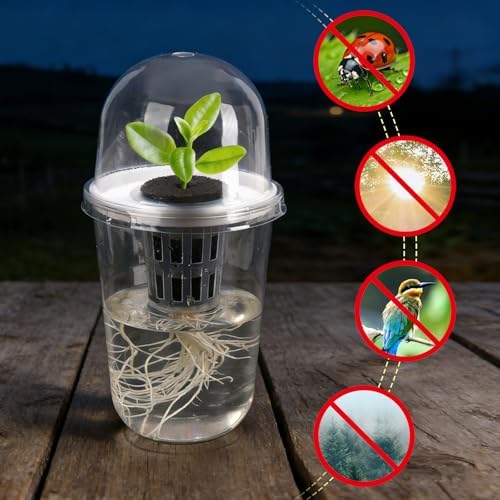 Clear Hydroponic Nursery Pots with Humidity Domes & Rrow Sponge 6-Pack - Image 7