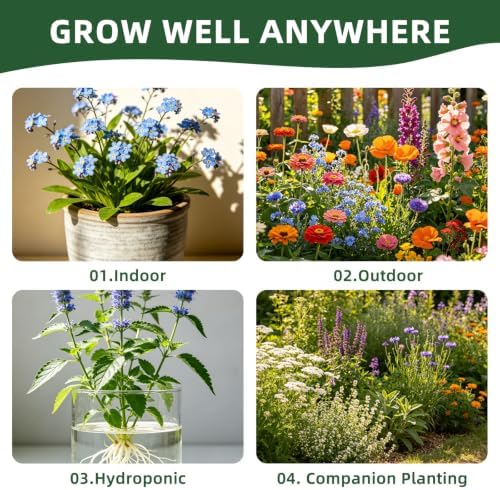 30 Edible Flower Seeds Variety Pack, Wildflower Seeds Mix for Indoor & Outdoors, 13,500+ Non-GMO Heirloom Seeds Culinary & Tea Garden, Easy-Grow Blooms for Salads & Cocktails - Image 7