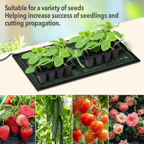 2 Pack 10"x20" Durable and Waterproof Seedling Heat Mat, ETL Listed - Image 2