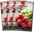 Sow Right Seeds- Champion Radish Seed for Planting Outdoor Red Radishes 3pk by SowRightSeeds