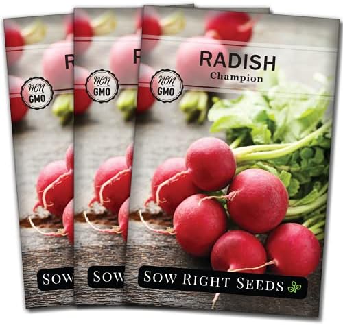 Sow Right Seeds- Champion Radish Seed for Planting Outdoor Red Radishes 3pk by SowRightSeeds
