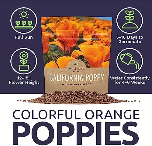 California Orange Poppy Wildflower Seeds - Bulk 1 Ounce Packet - Over 20,000 Native Seeds - California State Flower! - Image 6