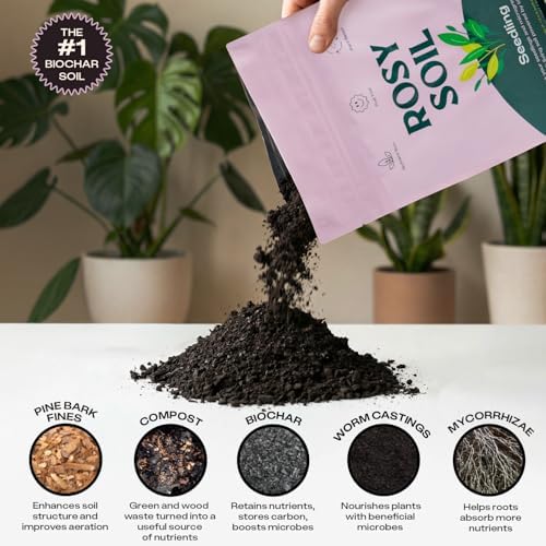 Rosy Soil Seedling Seed Starter Soil Mix, Organic, Peat-Free, 4 Quarts - Image 4