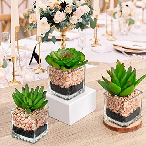 Briful Mini Fake Plants 3 Packs Cute Succulents Artificial Plants in Square Glass Vase Pot Potted Faux Succuletns for Living Room Dining Room Bathroom Kitchen Windowsill Table Decor - Image 6