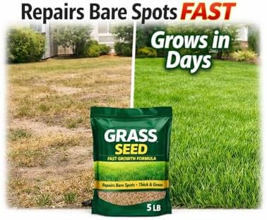 Grass Seed for Bare Spots & Lawn Repair – QUICK-2-GRO- Grows in Days – Fast Germinating Overseeding Mix for Thick Green Turf – Sun & Shade – 5 lb - Image 2