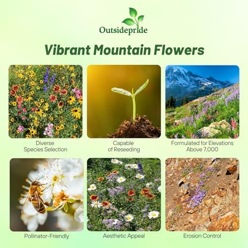 Outsidepride Mountain Wild Flower Seed Mix - 1/4 lb Premium Blend of Annual & Perennial Wildflower Seeds for High-Elevation, USDA Zones 3-8, Ideal for Mountain Gardens, Low-Maintenance & Easy to Grow - Image 3