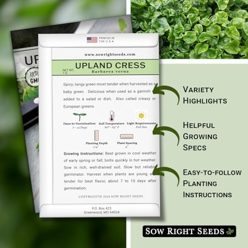 Sow Right Seeds - Upland Cress Seed for Planting Indoor Kitchen Garden - Image 2