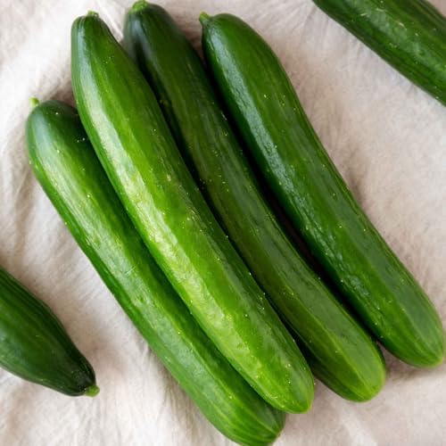 Eden Brothers Cucumber Seeds - Tasty Green, Packet by EdenBrothers