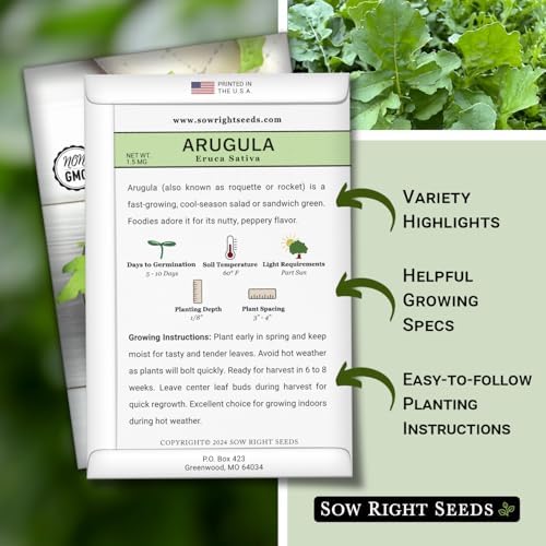 Sow Right Seeds - Arugula Seed for Planting Outdoors or Indoors Garden - Image 2
