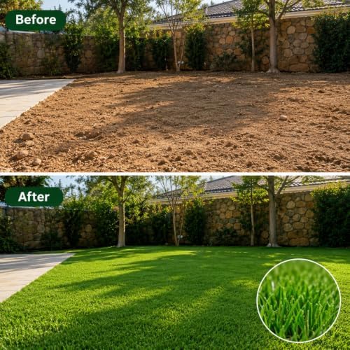 120,000 Emerald Zoysia Grass Seeds for Lawn Gardening Outside - Image 3