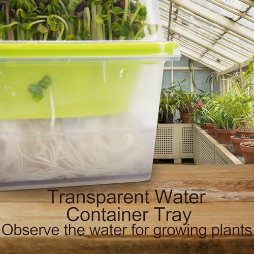 Microgreen Growing Trays, 5" x 5" Sprouting Tray with Humidity Dome, 1.2 mm Small Mesh Holes, BPA Free, Sprouter Kit for Growing Mirco Seeds, Like Broccoli, Alfalfa, Radish, Clover - 6 Pack | Clear - Image 6