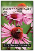 Sow Right Seeds - Purple Coneflower Seed for Planting Perennial Wildflower by SowRightSeeds