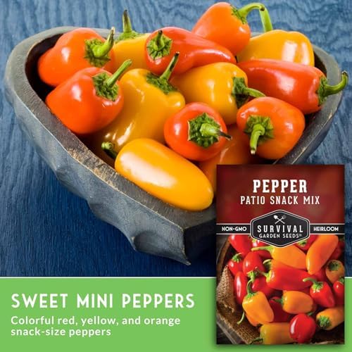 Patio Snack Mix Mini Sweet Pepper Seeds for Planting (5 Pack) - Image 5