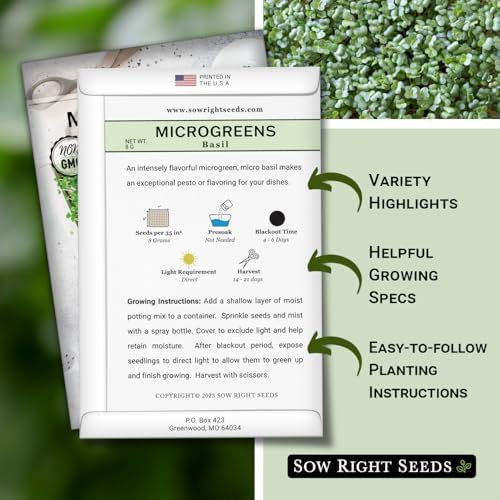Sow Right Seeds - Basil Microgreen Seed for Growing Sweet Micro Greens - Image 2
