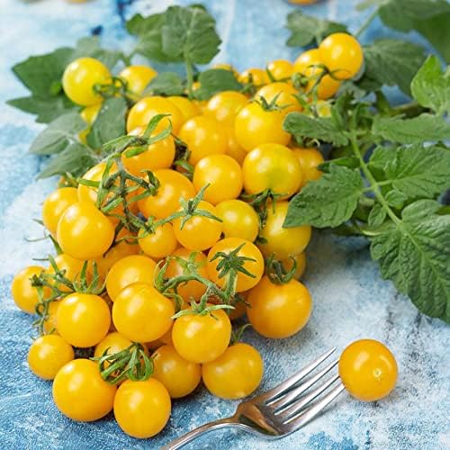 Park Seed Cherry Tomato Seeds, Planting Vegetables, Easy to Grow, Non-GMO, Variety of Colors and Sizes, Spring Garden, Lemon Drop (Improved), Pack of 30 by ParkSeed