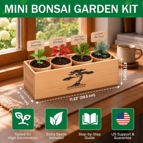 Bonsai Tree Starter Kit for Gardening Lovers Beginners - Image 3
