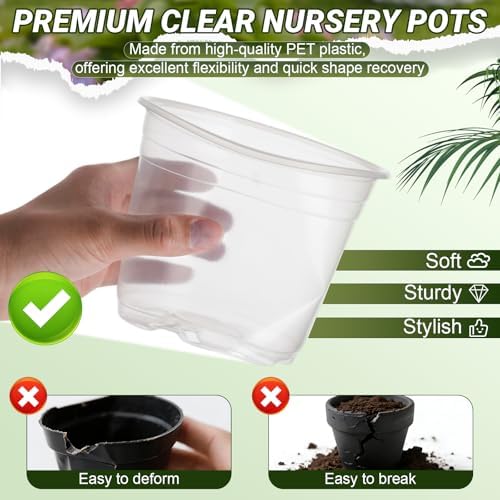 4/6/8/10 Inch Large Clear Nursery Pots with Drainage & Saucers & Plant Tags - Image 4