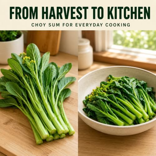 Bok Choy Seeds for Planting, Approx. 2,000 Chinese Cabbage Seeds, 1 Pack - Image 7