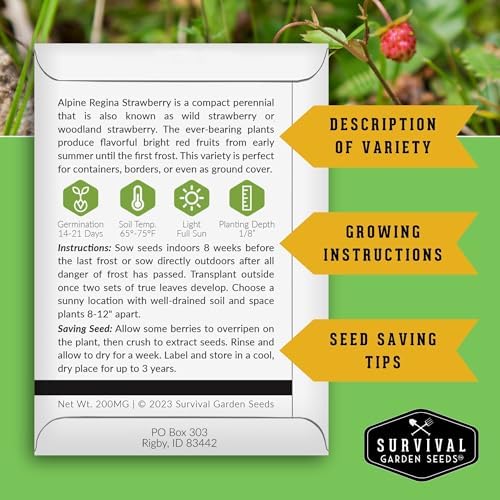 Alpine Regina Everbearing Wild Strawberry Seeds for Planting - 3 Packs - Image 2