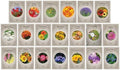 Set of 20 Assorted Flower Seed Packets! Flower Seeds Blind Bag - Great for Classrooms, Beginner Gardeners and Kids! - Made in the USA (20) by BlackDuckBrand