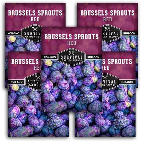 Red Brussels Sprout Seeds - Survival Garden Seeds (5 Packs) by SurvivalGardenSeeds