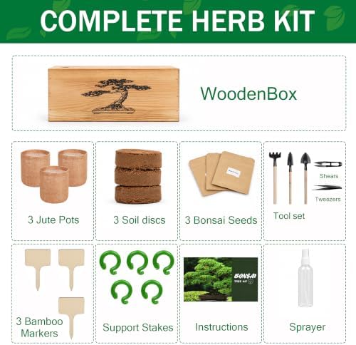 Bonsai Tree Growing Kit for Beginners, 3 Seed Varieties, - Image 2