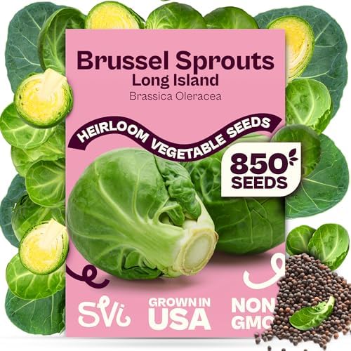 SVI 850 Long Island Brussels Sprouts Seeds (Brassica Oleracea) – Brussel Sprouts Seed Packets, Heirloom Brussel Sprout – Cold Hardy Vegetable Seeds Home Garden, Outdoor Beds, Containers by SVI
