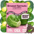 SVI 850 Long Island Brussels Sprouts Seeds (Brassica Oleracea) – Brussel Sprouts Seed Packets, Heirloom Brussel Sprout – Cold Hardy Vegetable Seeds Home Garden, Outdoor Beds, Containers by SVI