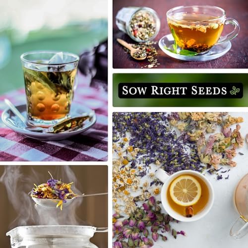 Sow Right Seeds - Large Herbal Tea Seed Collection for Planting Garden - Image 3