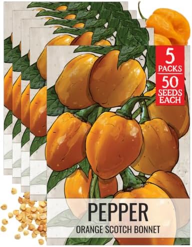 Seed Needs Scotch Bonnet Hot Pepper Seeds to Plant Vegetables - 5 Packs by SeedNeeds