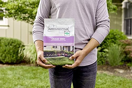 Fundamentals by Scotts Grass Seed Perennial Ryegrass Mix, Ideal for Sunny, High Traffic Areas and Erosion Control, 3 lbs. (Pack of 6) - Image 6