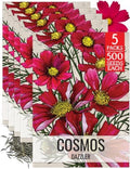 Seed Needs Dazzler Cosmos Seeds to Plant Cut Flowers - 5 Packs by SeedNeeds