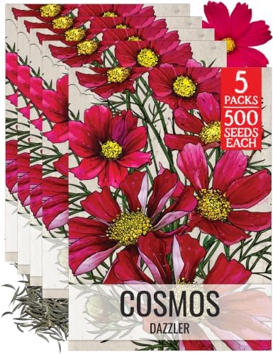 Seed Needs Dazzler Cosmos Seeds to Plant Cut Flowers - 5 Packs by SeedNeeds