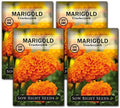 Sow Right Seeds- Crackerjack African Marigold Seed for Planting Flowers 4pk by SowRightSeeds