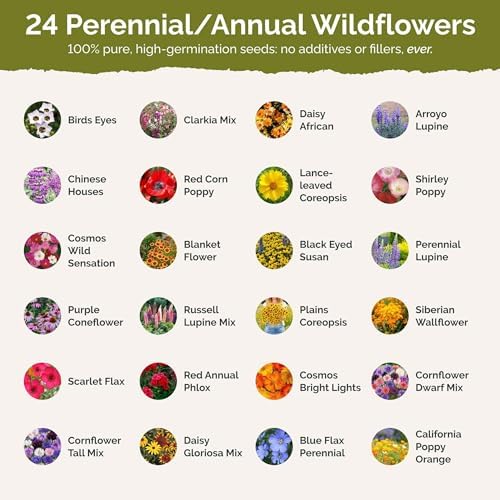 Eden Brothers Oklahoma Wildflower Mixed Seeds for Planting, 1/4 lb - Image 3
