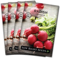 Sow Right Seeds- Champion Radish Seed for Planting Outdoor Red Radishes 4pk by SowRightSeeds