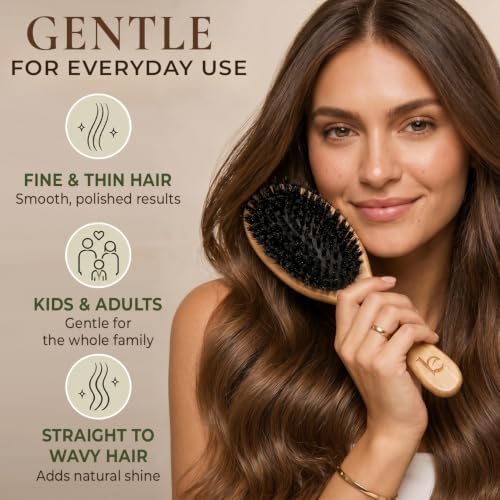 Boar Bristle Hair Brush for Fine & Thin Hair – 100% Soft Natural Bristles - Image 4