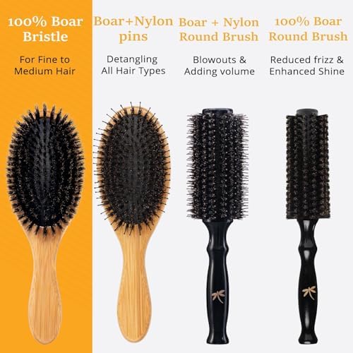 Belula 100% Boar Bristle Hair Brush Set, Medium, for Thin and Fine Hair - Image 5