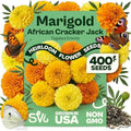 SVI 400 African Cracker Jack Marigold Heirloom Flower Seeds, Tagetes erecta by SVI