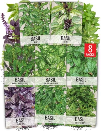 Seed Needs Basil Seeds Variety Pack of 8 Herbs for an Indoor Outdoor Garden by SeedNeeds