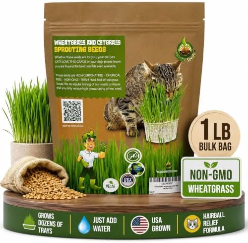 Todd's Seeds Cat Grass Seeds for Indoor Cats, 1lb Wheat Grass Seeds - Image 2