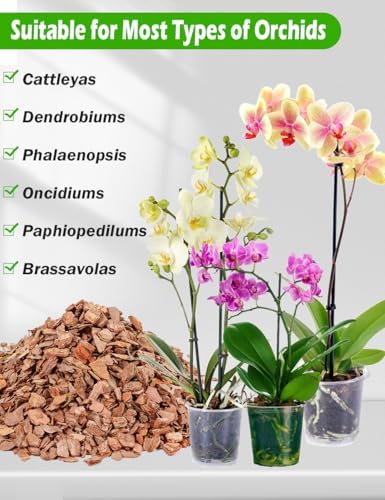 TOYPOPOR Orchid Potting Mix, (6 Quarts)Orchid Bark With Perlite, Potting Soil Medium for Plant Indoor, Pine Bark Wood Chips for Houseplant Fast Drainage, Water Retention, Air Flow and Root Ventilation - Image 6