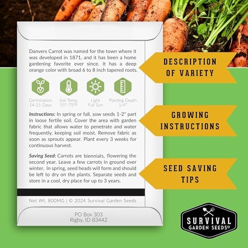Danvers Carrot Seeds for Planting - Survival Garden Seeds (2 Packs) - Image 2