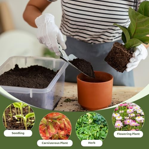 Sphagnum Peat Moss for Plants 2qt, Organic Garden Growing Soil Amendment and Media for Flowers, Vegetables, Herbs, Orchid, Indoor Houseplant - Image 4