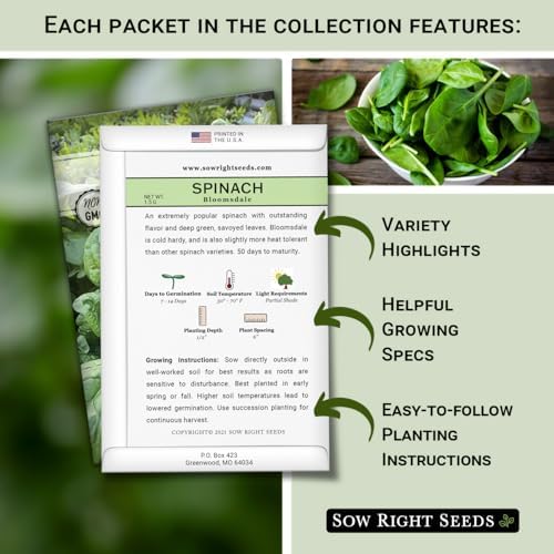 Sow Right Seeds - Large Greens Seed Collection for Planting - Spinach, Arugula, Kale, Lettuce, Tat SOI, Pak Choi and Rainbow Swiss Chard - Non-GMO Heirloom - Plant and Grow a Home Vegetable Garden - Image 2