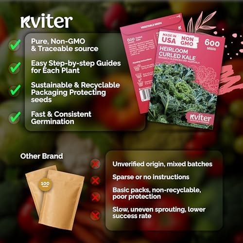 KVITER 600 Vates Blue Scotch Curly Kale Seeds (Brassica oleracea) – Curled Green Kale Seed Packets Heirloom Seed Outdoor & Indoor Home Garden – Cold Hardy Dwarf Vegetable Seeds for Planting - Image 5