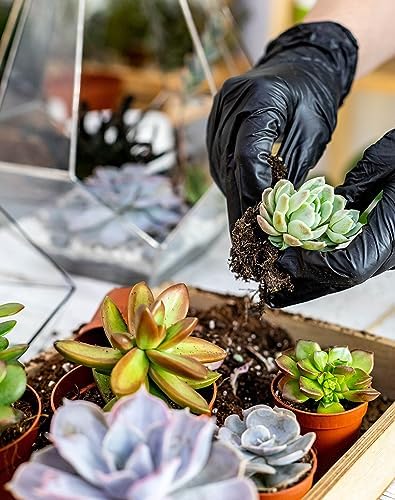 Melphoe 25Pcs Mini Garden Hand Transplanting Succulent Tools Set, 39.4" Thickened Repotting Mat & Plant Tag, Miniature Planting Indoor Fairy Care, Potting, Cactus, Houseplant Bonsai Tool Kit (Black) - Image 3