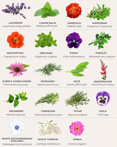 Tactiko Edible Flowers & Popular Herb Seed Kit - Image 6