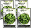 Sow Right Seeds - Arugula Seed for Planting Outdoors or Indoors Garden 4pk by SowRightSeeds